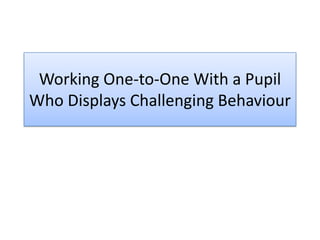 Working One-to-One With a Pupil Who Displays Challenging Behaviour 