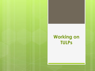 Working on
  TULPs
 