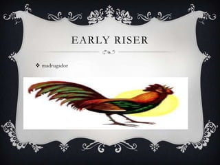 EARLY RISER

 madrugador
 