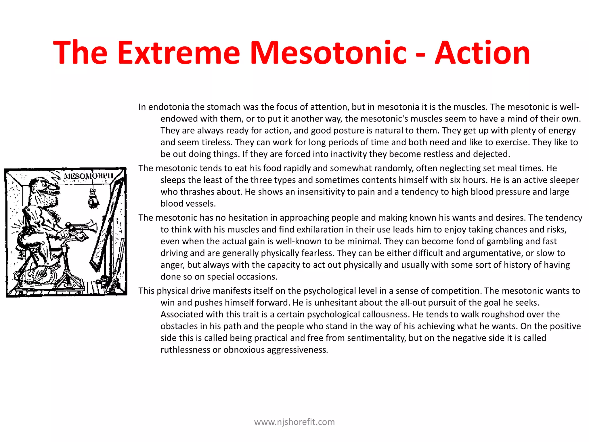 The Extreme Mesotonic - Action
In endotonia the stomach was the focus of attention, but in mesotonia it is the muscles. The mesotonic is well-
endowed with them, or to put it another way, the mesotonic's muscles seem to have a mind of their own.
They are always ready for action, and good posture is natural to them. They get up with plenty of energy
and seem tireless. They can work for long periods of time and both need and like to exercise. They like to
be out doing things. If they are forced into inactivity they become restless and dejected.
The mesotonic tends to eat his food rapidly and somewhat randomly, often neglecting set meal times. He
sleeps the least of the three types and sometimes contents himself with six hours. He is an active sleeper
who thrashes about. He shows an insensitivity to pain and a tendency to high blood pressure and large
blood vessels.
The mesotonic has no hesitation in approaching people and making known his wants and desires. The tendency
to think with his muscles and find exhilaration in their use leads him to enjoy taking chances and risks,
even when the actual gain is well-known to be minimal. They can become fond of gambling and fast
driving and are generally physically fearless. They can be either difficult and argumentative, or slow to
anger, but always with the capacity to act out physically and usually with some sort of history of having
done so on special occasions.
This physical drive manifests itself on the psychological level in a sense of competition. The mesotonic wants to
win and pushes himself forward. He is unhesitant about the all-out pursuit of the goal he seeks.
Associated with this trait is a certain psychological callousness. He tends to walk roughshod over the
obstacles in his path and the people who stand in the way of his achieving what he wants. On the positive
side this is called being practical and free from sentimentality, but on the negative side it is called
ruthlessness or obnoxious aggressiveness.
www.njshorefit.com
 