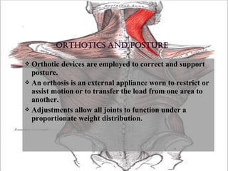  Orthotic devices are employed to correct and support
posture.
 An orthosis is an external appliance worn to restrict or
assist motion or to transfer the load from one area to
another.
 Adjustments allow all joints to function under a
proportionate weight distribution.
 