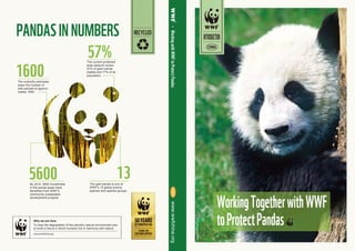57%
5600
1600
13 CHINAwww.wwfchina.org
©YumikoKawamura
WorkingwithWWFtoProtectPandas
Why we are here.
PANDASINNUMBERS RECYCLED
INTRODUCTION
The scientific estimates
place the number of
wild pandas at approxi-
mately 1600.
The current protected
area network covers
57% of giant panda
habitat and 71% of its
population.
The gant panda is one of
WWF's 13 global priority
species and species groups.
To stop the degradation of the planet's natural environment and
to build a future in which humans live in harmony with nature.
By 2010, 5600 households
in the panda areas have
benefited from WWF's
community sustainable
development projects.
WorkingTogetherwithWWF
toProtectPandas
CHINA
 