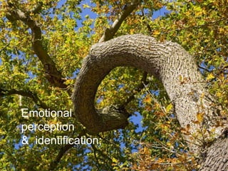Emotional
perception
& identification;
 