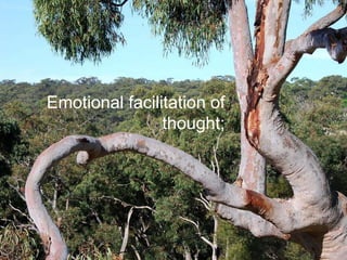 Emotional facilitation of
thought;
 