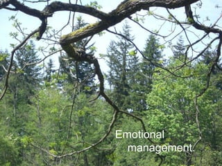 Emotional
management.
 