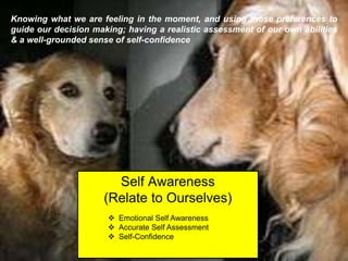 Self Awareness
(Relate to Ourselves)
Knowing what we are feeling in the moment, and using those preferences to
guide our decision making; having a realistic assessment of our own abilities
& a well-grounded sense of self-confidence
 Emotional Self Awareness
 Accurate Self Assessment
 Self-Confidence
 