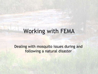 Working with FEMA

Dealing with mosquito issues during and
      following a natural disaster



                                          1
 