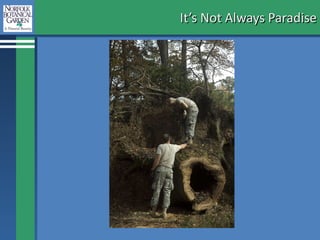 It’s Not Always Paradise 