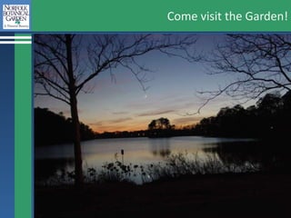 Come visit the Garden! 