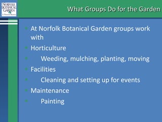 What Groups Do for the Garden At Norfolk Botanical Garden groups work with  Horticulture Weeding, mulching, planting, moving  Facilities Cleaning and setting up for events Maintenance Painting 