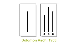 Solomon Asch, 1953
 
