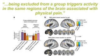 “…being excluded from a group triggers activity
in the same regions of the brain associated with
physical pain.”
 