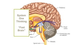 System
One
Thinking
“Fast
Brain”
 