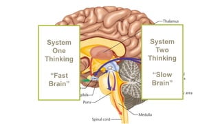 System
Two
Thinking
“Slow
Brain”
System
One
Thinking
“Fast
Brain”
 