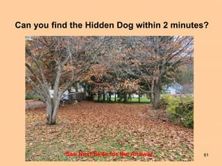 61
See Next Slide for the Answer
Can you find the Hidden Dog within 2 minutes?
 
