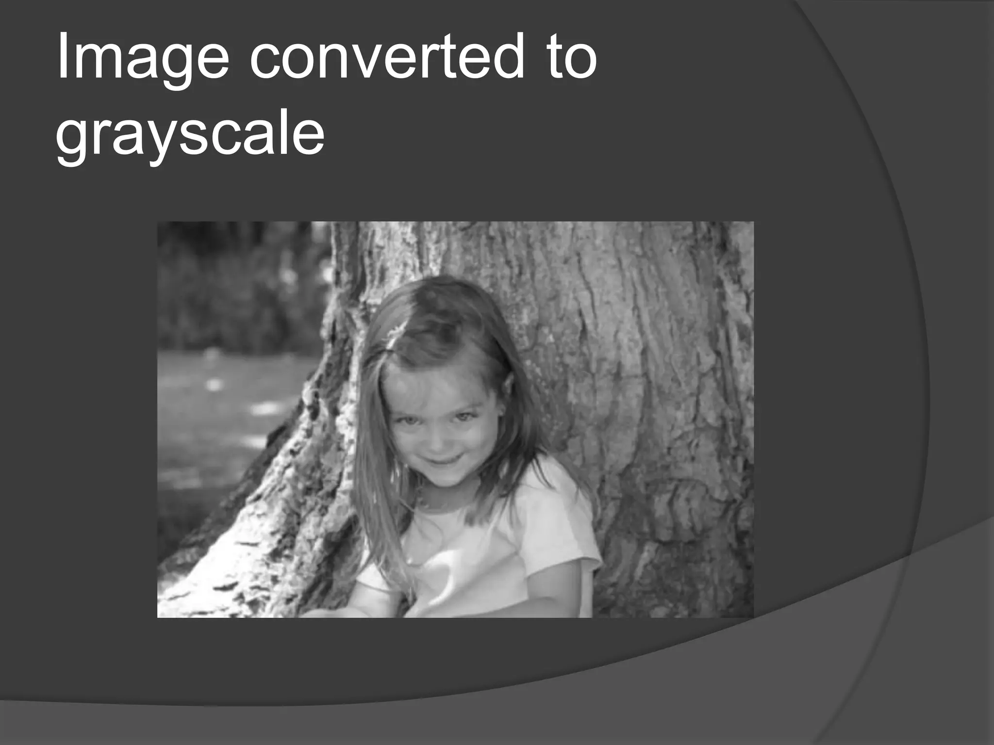 Image converted to
grayscale
 