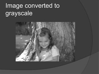 Image converted to
grayscale
 