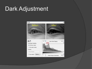 Dark Adjustment
 