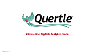 A Biomedical Big Data Analytics Leader
®
© 2016 Quertle, LLC
 