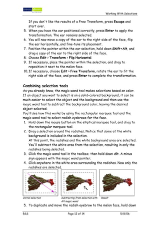 Working with selections | PDF
