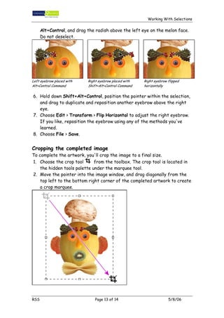 Working with selections | PDF