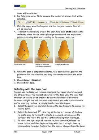 Working with selections | PDF