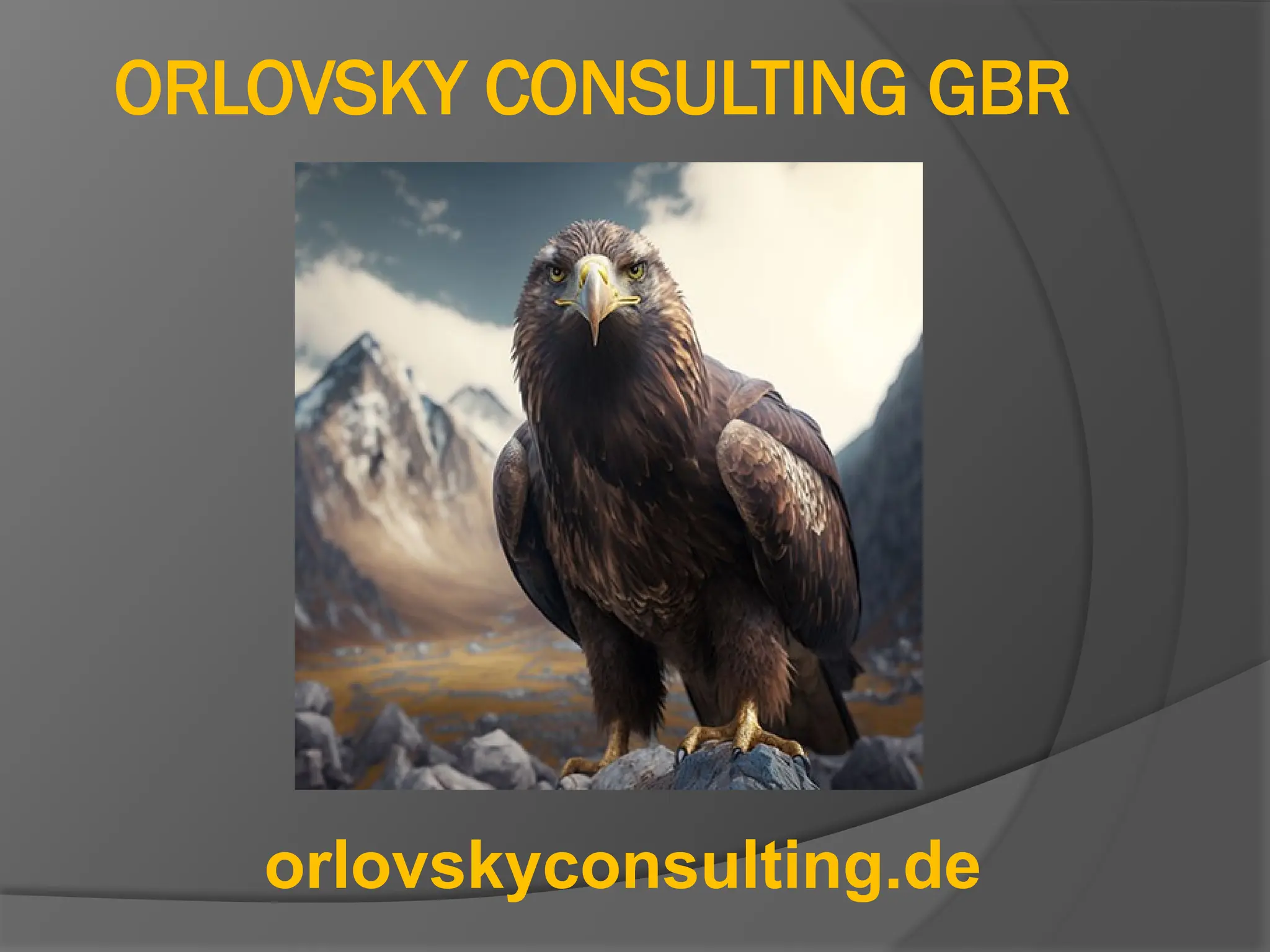 ORLOVSKY CONSULTING GBR
orlovskyconsulting.de
 
