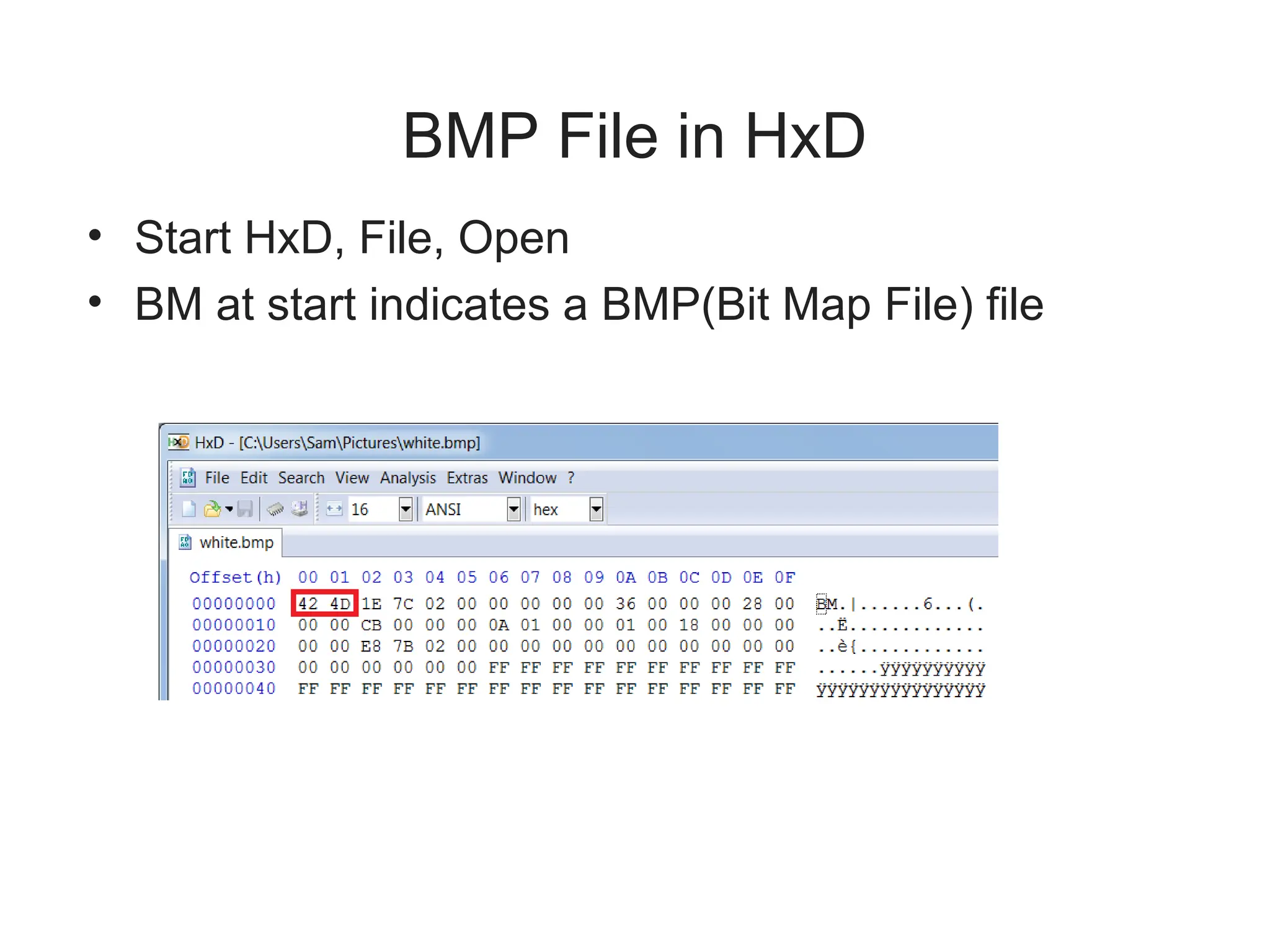 BMP File in HxD
• Start HxD, File, Open
• BM at start indicates a BMP(Bit Map File) file
 