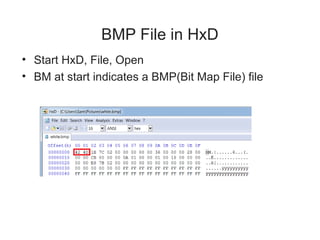 BMP File in HxD
• Start HxD, File, Open
• BM at start indicates a BMP(Bit Map File) file
 