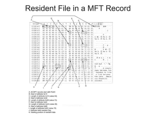 Resident File in a MFT Record
 