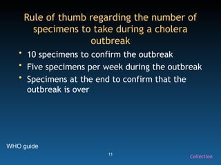 11
WHO guide
Rule of thumb regarding the number of
specimens to take during a cholera
outbreak
• 10 specimens to confirm the outbreak
• Five specimens per week during the outbreak
• Specimens at the end to confirm that the
outbreak is over
Collection
 