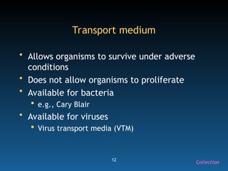12
Transport medium
• Allows organisms to survive under adverse
conditions
• Does not allow organisms to proliferate
• Available for bacteria
 e.g., Cary Blair
• Available for viruses
 Virus transport media (VTM)
Collection
 