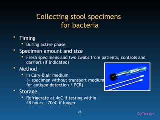 25
Collecting stool specimens
for bacteria
• Timing
 During active phase
• Specimen amount and size
 Fresh specimens and two swabs from patients, controls and
carriers (if indicated)
• Method
 In Cary-Blair medium
(+ specimen without transport medium
for antigen detection / PCR)
• Storage
 Refrigerate at 4oC if testing within
48 hours, -70oC if longer
Collection
 