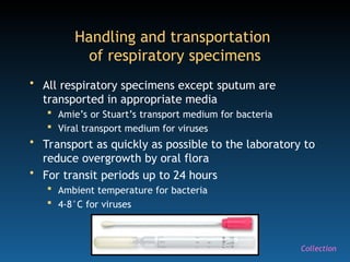 28
Handling and transportation
of respiratory specimens
• All respiratory specimens except sputum are
transported in appropriate media
 Amie’s or Stuart’s transport medium for bacteria
 Viral transport medium for viruses
• Transport as quickly as possible to the laboratory to
reduce overgrowth by oral flora
• For transit periods up to 24 hours
 Ambient temperature for bacteria
 4-8°C for viruses
Collection
 