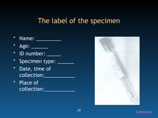 29
The label of the specimen
• Name: _________
• Age: ______
• ID number: _____
• Specimen type: ______
• Date, time of
collection:___________
• Place of
collection:___________
Collection
 