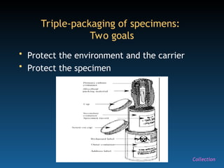 36
Triple-packaging of specimens:
Two goals
• Protect the environment and the carrier
• Protect the specimen
Collection
 