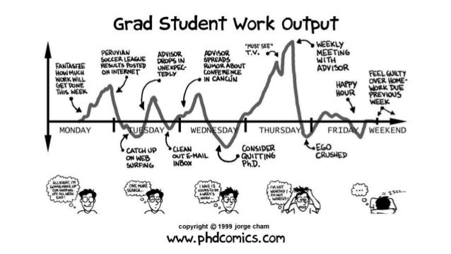 Phd in work life balance
