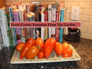 Fresh Grown Tomatoes From The Garden
 