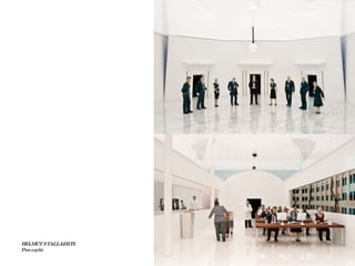 HELMUT STALLAERTS  Pan-optic 