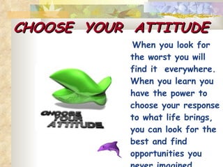 CHOOSE  YOUR  ATTITUDE When you look for the worst you will find it  everywhere. When you learn you have the power to choose your response to what life brings, you can look for the best and find opportunities you never imagined possible. 