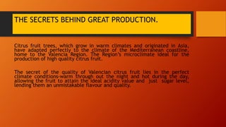 THE SECRETS BEHIND GREAT PRODUCTION.
Citrus fruit trees, which grow in warm climates and originated in Asia,
have adapted ...