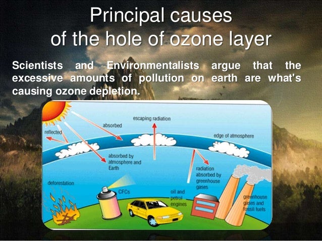 Essay on ozone layer