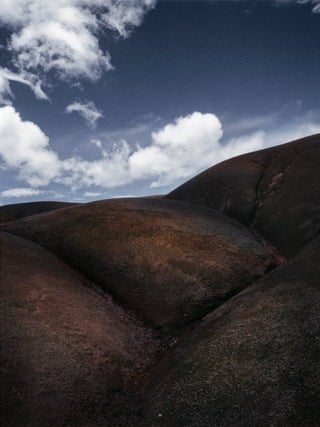 11horses- "a work record" by Per Zennström