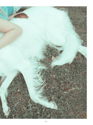 11horses- "a work record" by Per Zennström