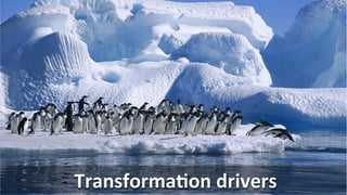 TransformaKon	
  drivers	
  
 