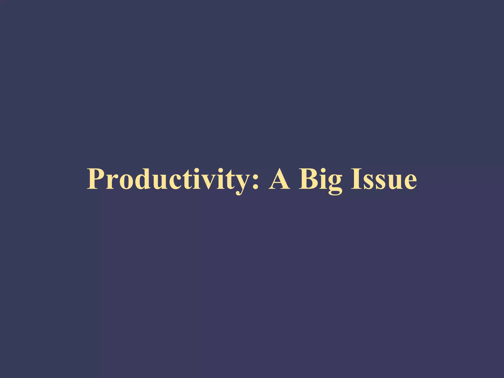 Productivity: A Big Issue
 