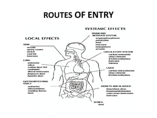 ROUTES OF ENTRY
 