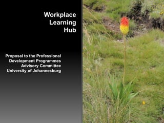 Workplace
                    Learning
                        Hub


Proposal to the Professional
  Development Programmes
       Advisory Committee
University of Johannesburg
 