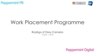 Work Placement Programme Rodrigo d’Orey Carneiro 15.06.09 – 11.09.09 