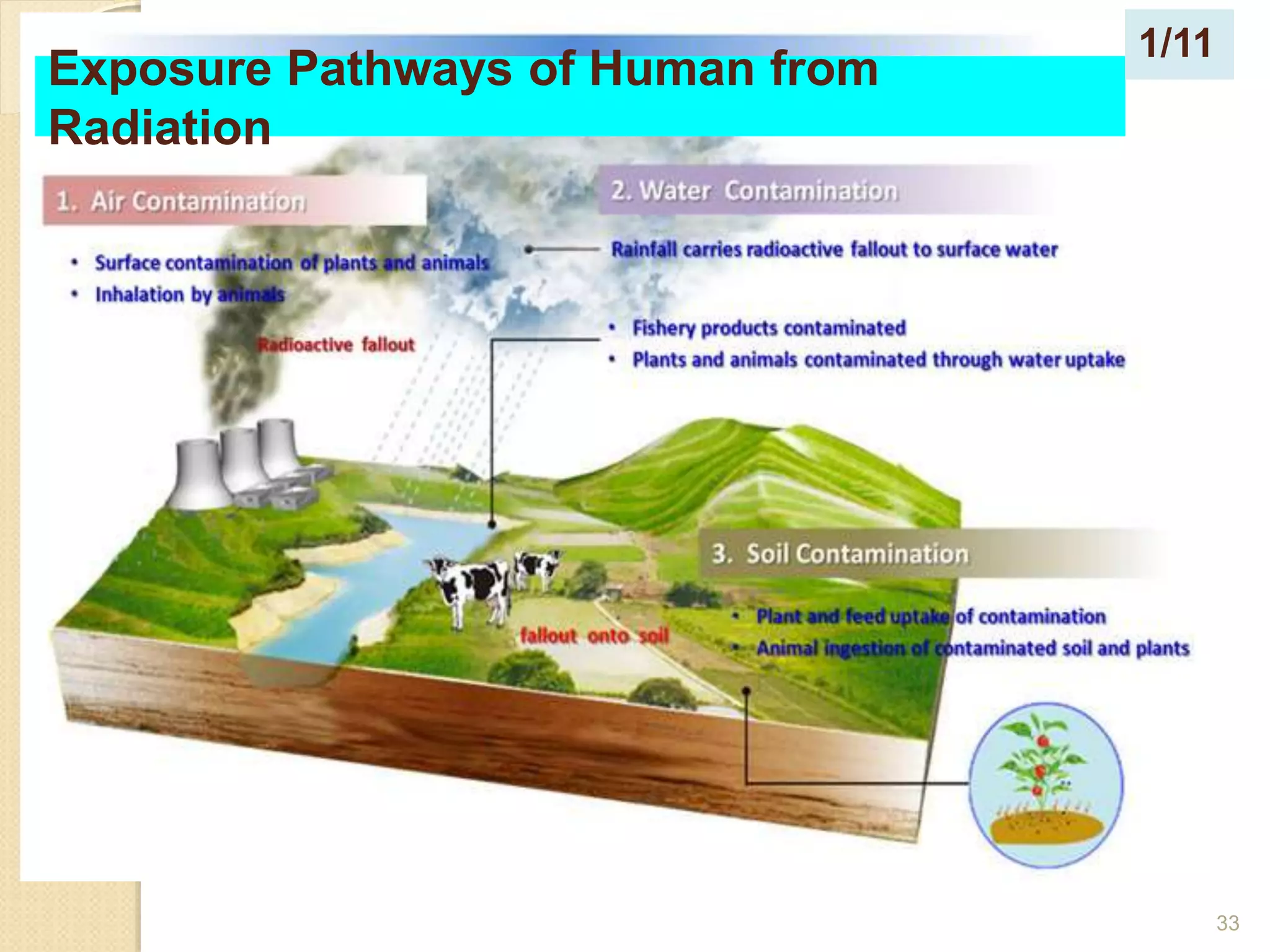 33
Exposure Pathways of Human from
Radiation
1/11
 